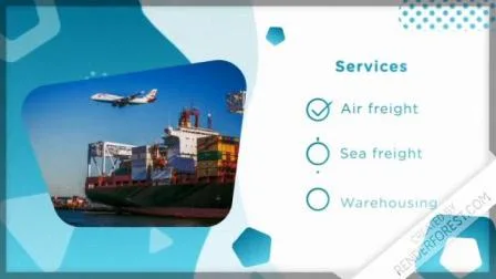 Luft-/See-/Seetransport/Logistik/Versandservice/Luftfrachtservice/Luftfrachtfracht von China nach Südamerika