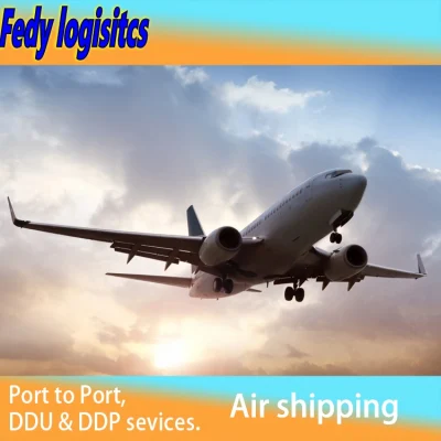 Bester FCL/LCL-Luft-/Seefrachtspediteur, Spediteur von China nach Abidjan, Elfenbeinküste, Tür-zu-Tür-Logistikdienst, Spediteurservice